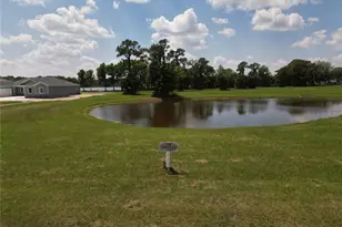 3430 Lake Diane Rd, Tavares, FL 32778 - Photo 9