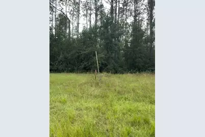 Lake Smith Road, Umatilla, FL 32784 - Photo 3