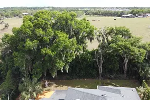 6846 Lake View Dr, Yalaha, FL 34797 - Photo 85