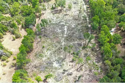 7457 NE Highway 349, Old Town, FL 32680 - Photo 35