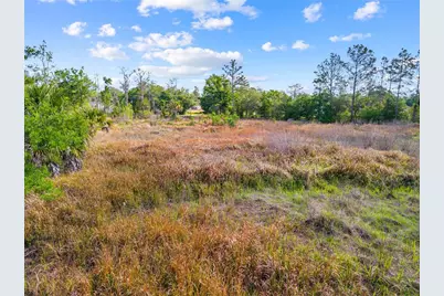 0 Richmond Avenue, Saint Cloud, FL 34772 - Photo 3