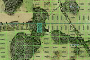 Polk City, Polk City, FL 33868 - Photo 1