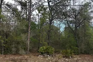 742 E Weldon Ln, Dunnellon, FL 34434 - Photo 1