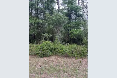 6265 N Allston Terrace, Dunnellon, FL 34433 - Photo 1