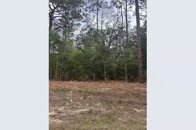 10831 N Mataro Avenue, Citrus Springs, FL 34434 - Photo 1