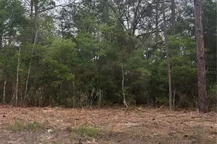 10831 N Mataro Ave, Citrus Springs, FL 34434 - Photo 1