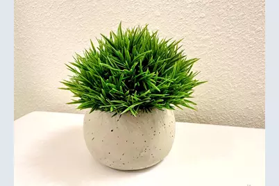 [Address not provided], Kissimmee, FL 34746 - Photo 13