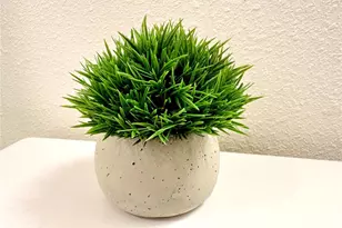 [Address not provided], Kissimmee, FL 34746 - Photo 13