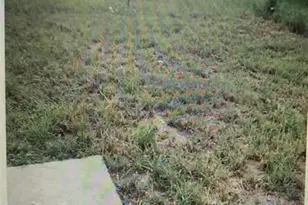 904 Washington St, Leesburg, FL 34748 - Photo 3