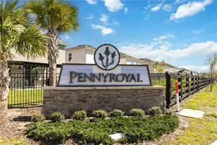 1772 Stamen Dr, Kissimmee, FL 34744 - Photo 23