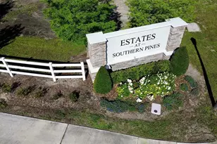 374 Pine Tree Brg Trl, Saint Cloud, FL 34772 - Photo 83