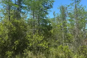 Atlas Dr, Saint Cloud, FL 34773 - Photo 1