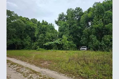 Se 140th Terrace, Ocklawaha, FL 32179 - Photo 1