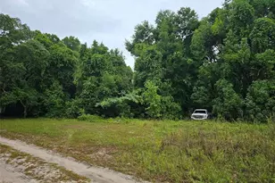 SE 140th Terrace, Ocklawaha, FL 32179 - Photo 1