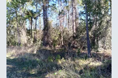 Poyner Road, Polk City, FL 33868 - Photo 1