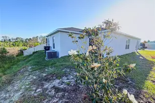 334 Preserve Pointe Blvd, Davenport, FL 33837 - Photo 25