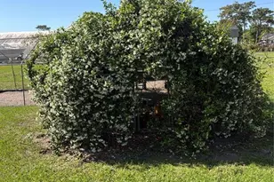 4245 Henry J Ave, Saint Cloud, FL 34769 - Photo 25