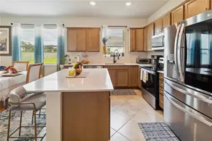 1895 Spring Shower Circle, Kissimmee, FL 34744 - Photo 11