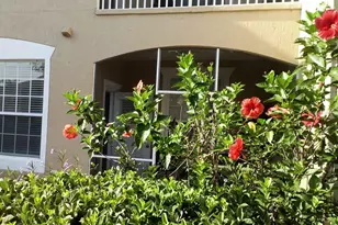 2307 Butterfly Palm Way, Kissimmee, FL 34747 - Photo 13