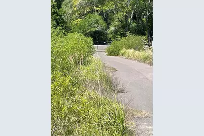 Avonwood, Tampa, FL 33625 - Photo 5