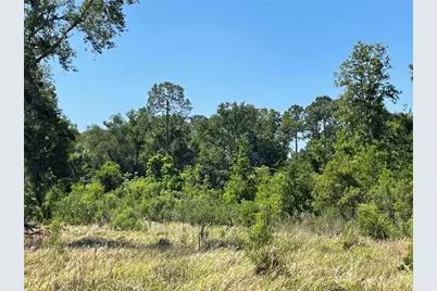 Avonwood, Tampa, FL 33625 - Photo 3