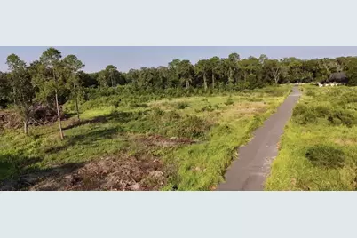 Avonwood, Tampa, FL 33625 - Photo 1