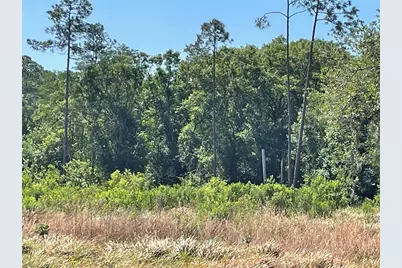 Avonwood, Tampa, FL 33625 - Photo 5
