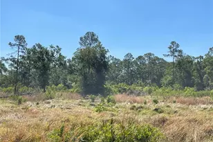 Avonwood, Tampa, FL 33625 - Photo 1
