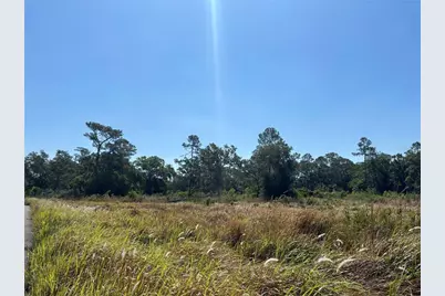 Avonwood, Tampa, FL 33625 - Photo 13