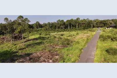 Avonwood, Tampa, FL 33625 - Photo 1