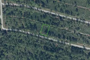 8650 Sanada St, Sebring, FL 33872 - Photo 1
