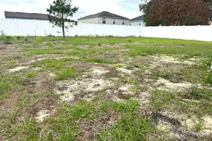 863 Hudson Valley Dr, Kissimmee, FL 34759 - Photo 21