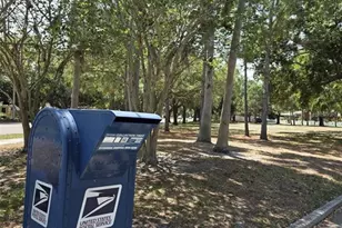 5210 Dr Martin Luther King Jr St N St, Saint Petersburg, FL 33703 - Photo 43