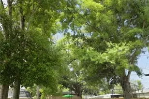 5210 Dr Martin Luther King Jr St N St, Saint Petersburg, FL 33703 - Photo 25