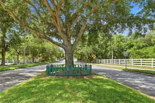 103 Grinnell Pl, Celebration, FL 34747 - Photo 43