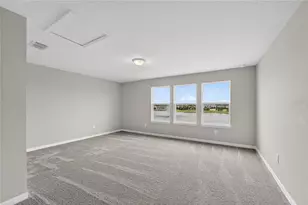 3899 Ivy Spgs Ln, Land O Lakes, FL 34638 - Photo 53