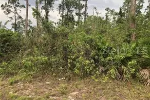 19619 NW 242nd St, Okeechobee, FL 34972 - Photo 1