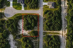 302 Bowfin Ln, Kissimmee, FL 34759 - Photo 1