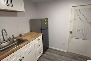 5500 N Rome Ave, Tampa, FL 33603 - Photo 1