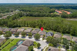 986 Orange Cosmos Blvd, Davenport, FL 33837 - Photo 77