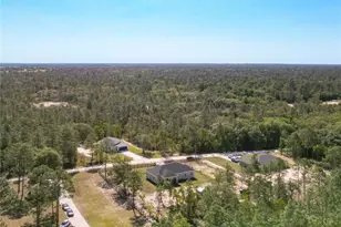 8786 SW 127th Ave, Dunnellon, FL 34432 - Photo 49
