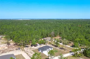 8786 SW 127th Ave, Dunnellon, FL 34432 - Photo 3