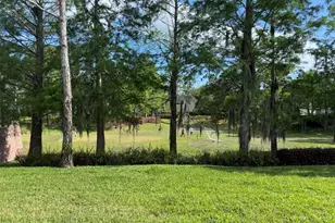 143 Southern Pecan Cir, Winter Garden, FL 34787 - Photo 19