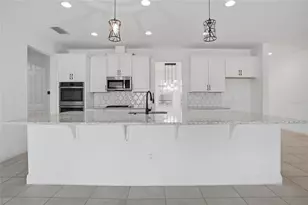 4897 Gilded Jewel Dr, Mount Dora, FL 32757 - Photo 5