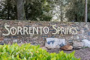 34142 Madiera Ln, Sorrento, FL 32776 - Photo 53