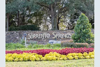 34142 Madiera Lane, Sorrento, FL 32776 - Photo 59