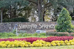 34142 Madiera Ln, Sorrento, FL 32776 - Photo 59