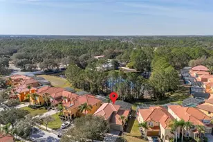 113 Tigerlily Ct, Davenport, FL 33837 - Photo 87