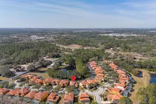 113 Tigerlily Ct, Davenport, FL 33837 - Photo 85