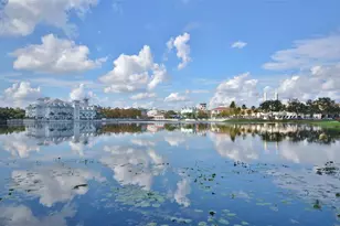 709 Bloom St, Celebration, FL 34747 - Photo 27